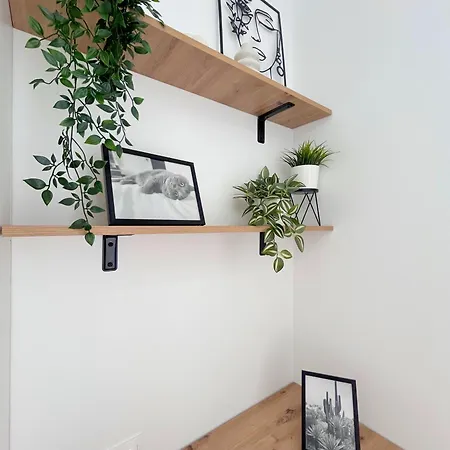 アパート The First House ティミショアラ