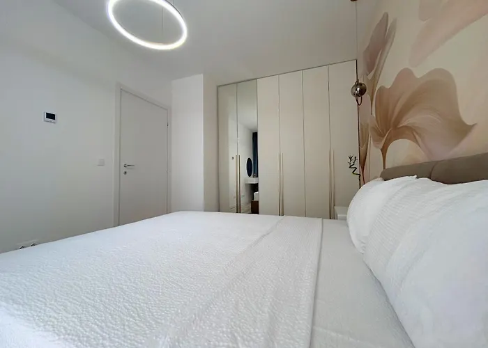 The First House Timisoara