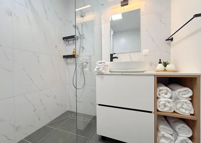 Apartment The First House Timisoara