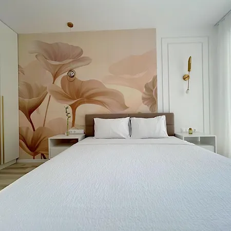 The First House * Temešvár